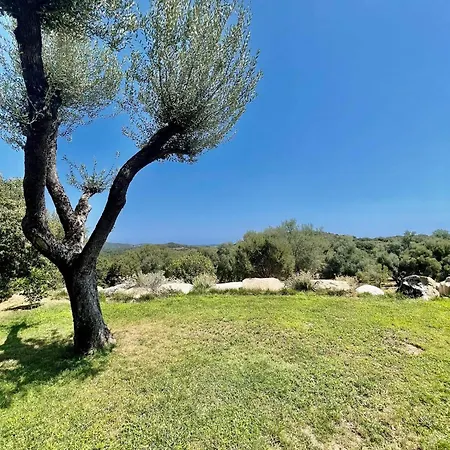 Maison En Pierres Tatil Evi